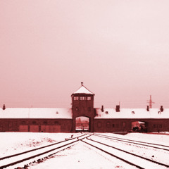 The Nazi Experiment, Vol. 10: Blood, Soil, and the Racial State