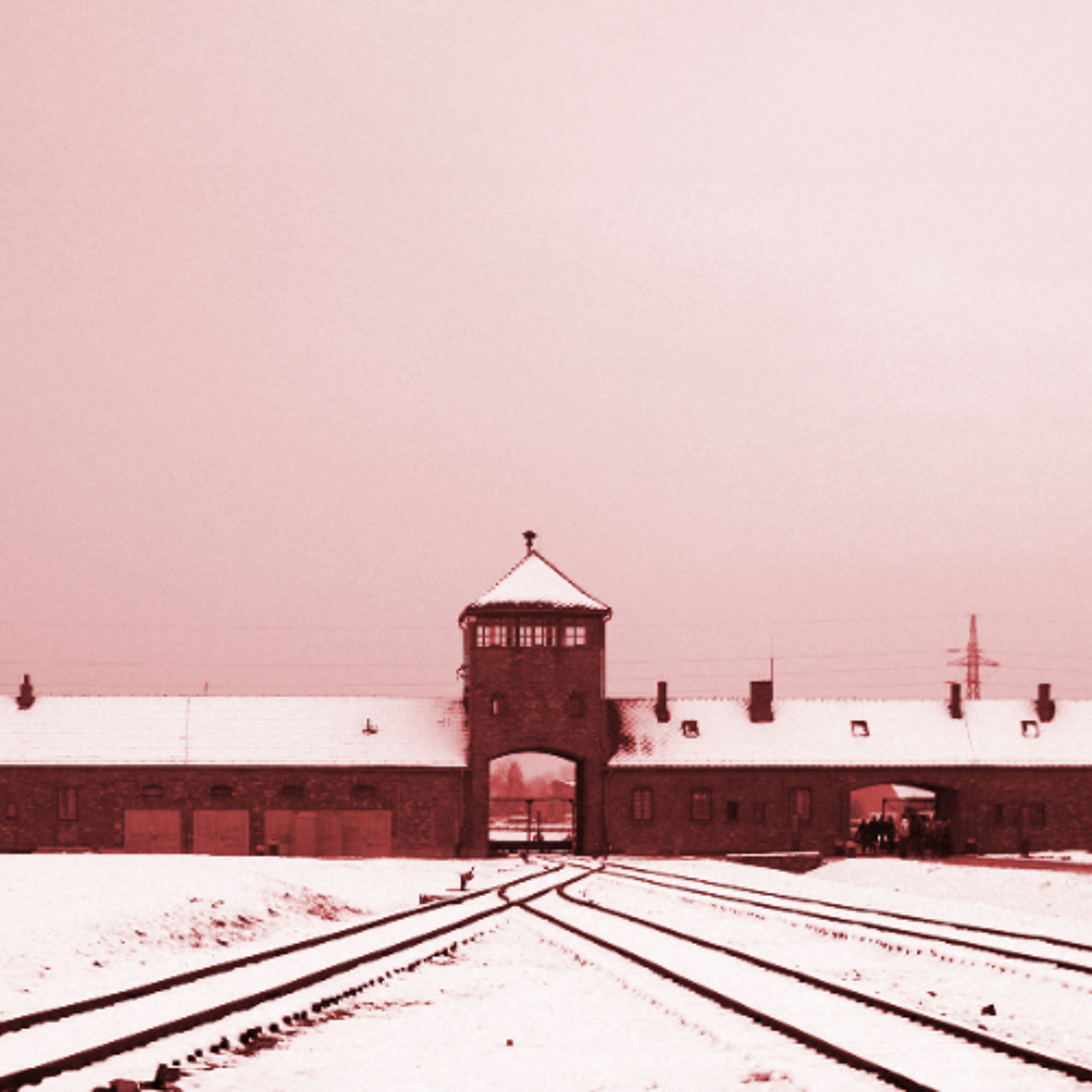 The Nazi Experiment, Vol. 10: Blood, Soil, and the Racial State The Nazi Experiment, Vol. 10: Blood, Soil, and the Racial State