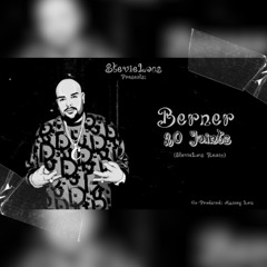 Berner -  20 JOINTS (StevieLocs Remix)