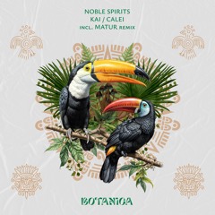 LTR Premiere: Noble Spirits - Calei (Original Mix) [Botanica]