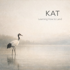 Learning How To Land