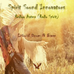 Rediyo Aatma (Radio Spirit) LiQuid Drum & Bass - Mix 1 - Master 1