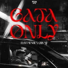 Gata Only - FloyyMenor ft. Cris MJ (Extended Mix)