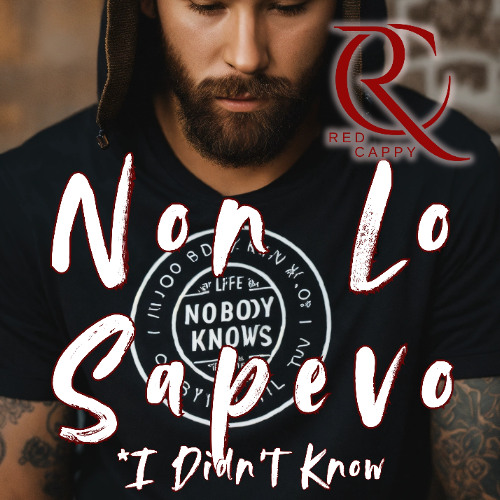 RedCappy - Non Lo Sapevo - I Didn't Know (Official Audio)_02
