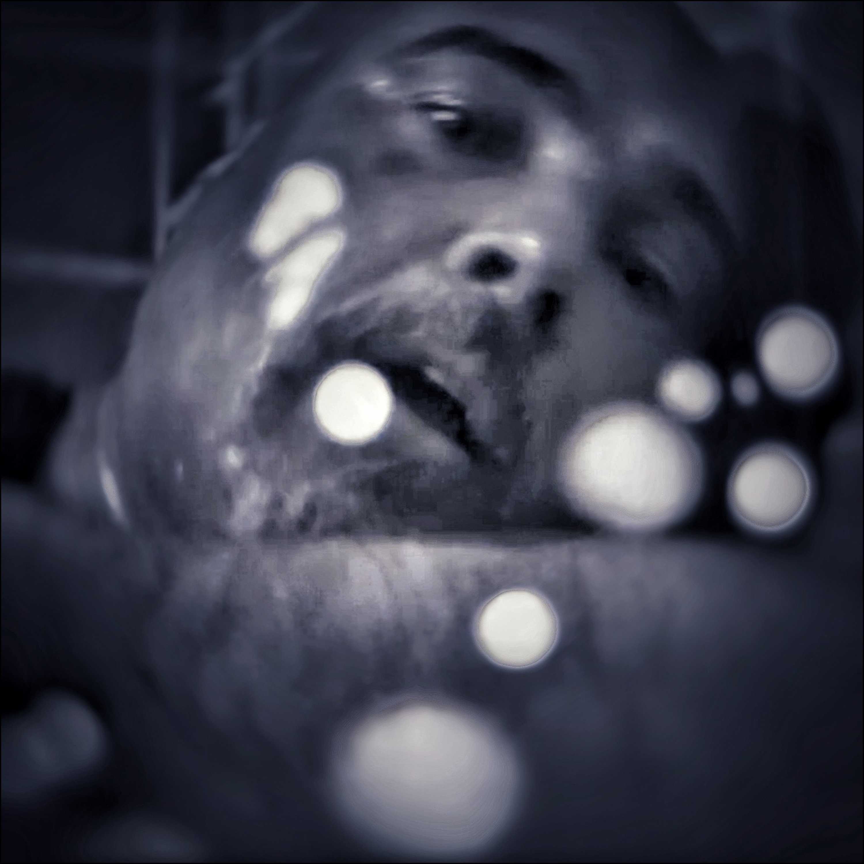 INTELLIGENT MUSIC SETS - EXPERIMENTAL LIVE & SOUNDSCULPTOR TRACKS