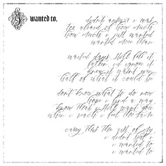 i wanted to — the white album