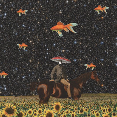 WDH Tiger - How high (Prod angelseason)