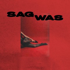 SAG WAS - PAULA HARTMANN (REMIX)