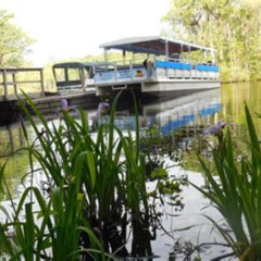 Review Special Price Waccamaw River Nature And Wildlife Tour