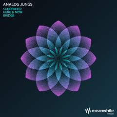 Premiere: Analog Jungs - Here & Now [Meanwhile]