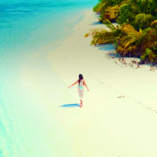 Island Harmony | Beautiful Summer Piano Violin Music