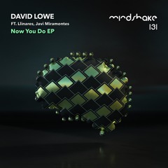 Première | David Lowe - Breaking Out