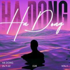 HA DONG - 24.11.22 | D28