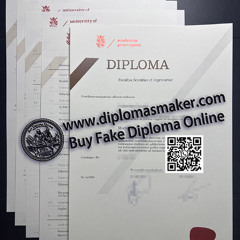 How to make a fake Academia Groningana degree online?