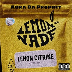 Lemonade (Remix)