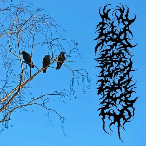 breakneck (Prod.Drikold)