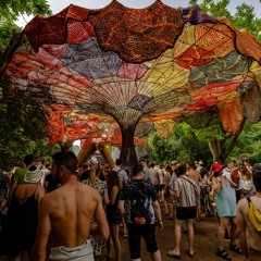 Cooking Groove | Daad Gathering 2024 recordings