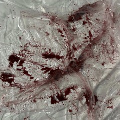 RIP CELESTE/FASHION SHOW (1koraa)