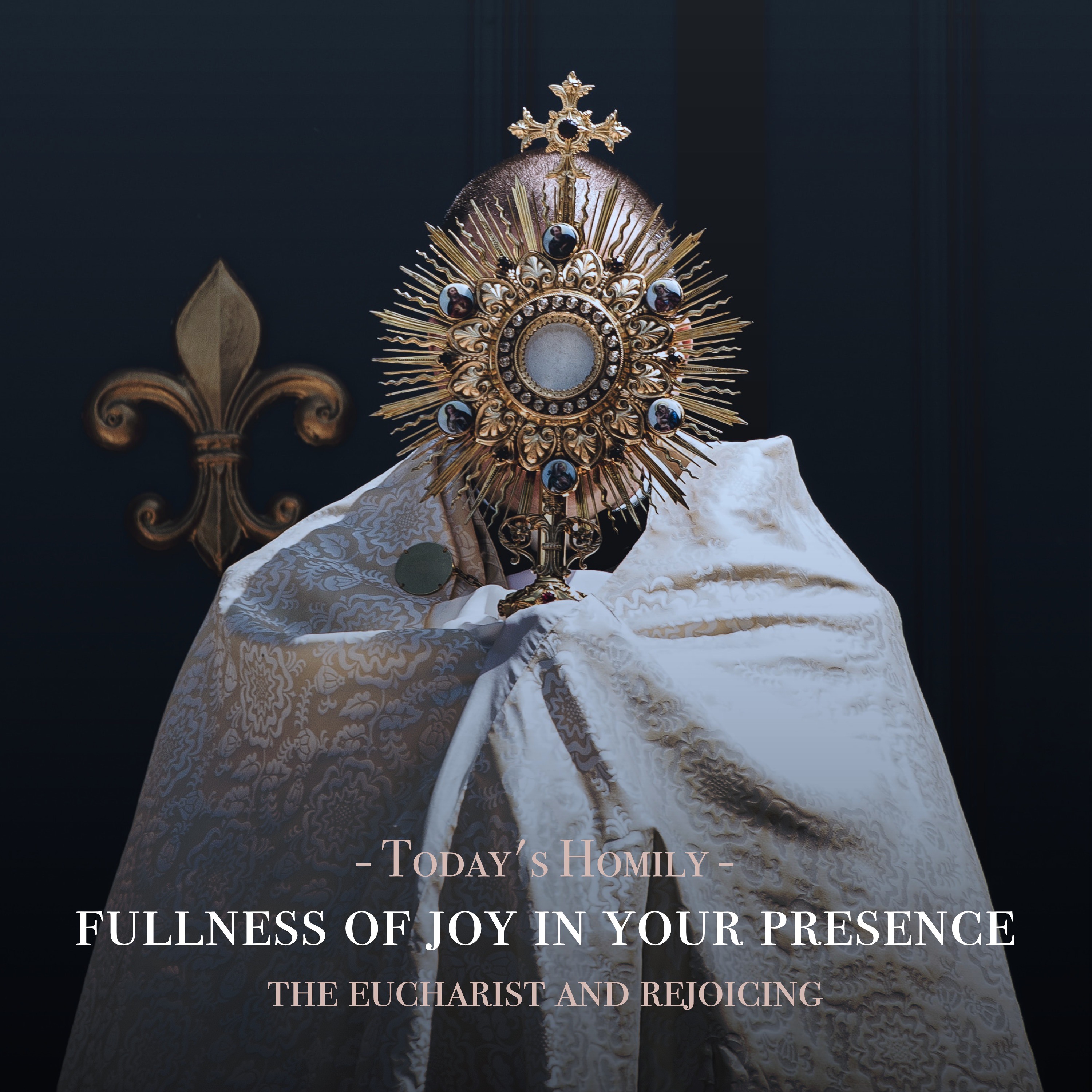 Fr. Barry Braum - Homilies and Conferences