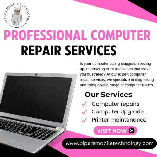 Computer Maintenance Services in USA