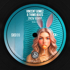 Vincent Gomez, Thimo Beats - Snow Bunny