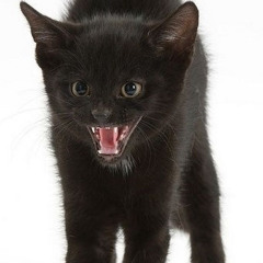 in this house of cards