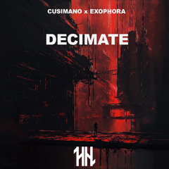 ▶️ Decimate (with CuSiMaNo)