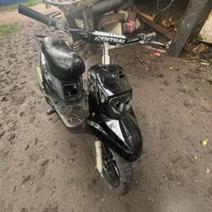 stunt 2025