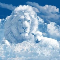 The Lion And The Lamb