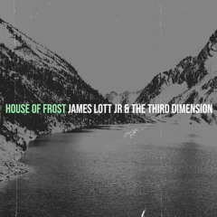 House Of Frost (Theme From House of Frost)-James Lott Jr & The Third Dimension