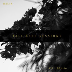 Tall Tree Sessions #17 - Dahlia (Latin House | Tech House)