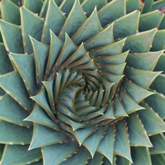 No One Saw You Coming