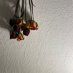 Ich Hab Heute Nicht Daran Gedacht (demo)