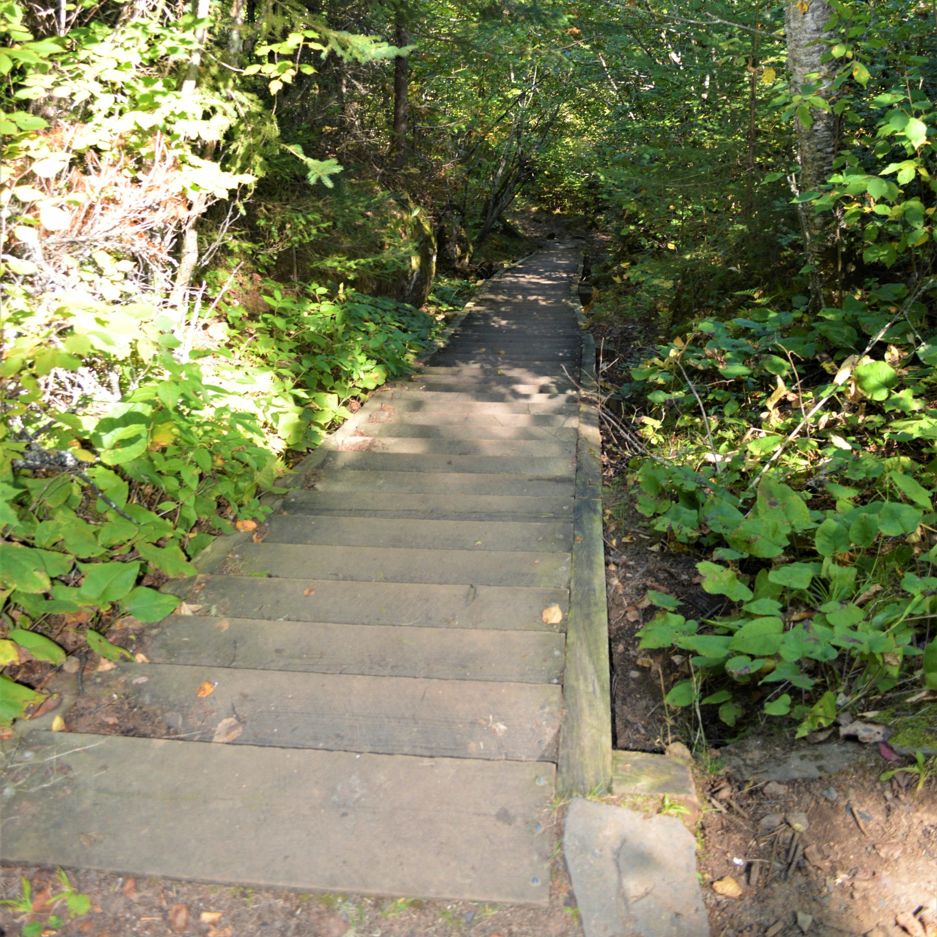 Stairway Portage Redesign For 2022 Great Lakes Trailbuilder Willie Bittner episode artwork