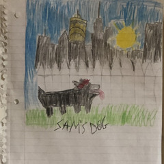 Fritzleschats-Sam’s dog