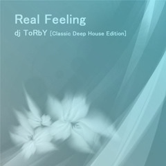 Real Feeling - dj ToRbY