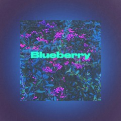 Funky Fella - Blueberry