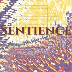 Sentience (IV)