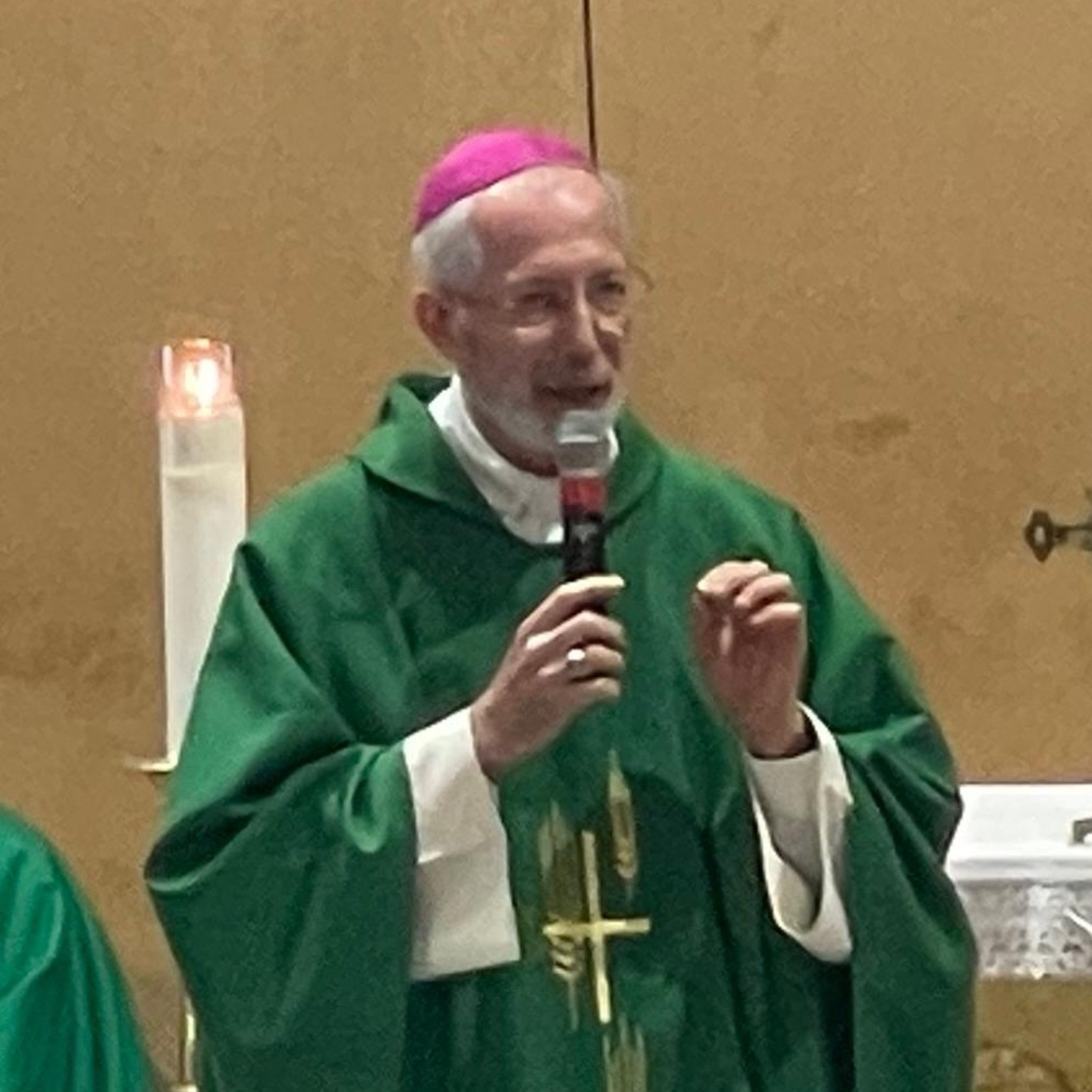 Apertura del Pellegrinaggio diocesano a Lourdes - Omelia di Mons. Guido Marini episode artwork