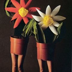 Lift up the Evening ~ Birthday Suit by Cosmo Sheldrake cover (its bad)