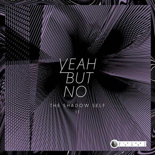 PREMIERE / Yeah But No - Going Down (Terr Remix) [Distant Echos]