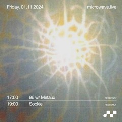 01.11.2024 96 w/ Metaux