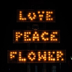 Trips & Ticks @ City Of Flowers Festival 2024