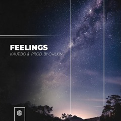 Kautibo & Prod. By OwlKin - Feelings