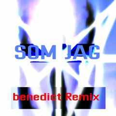 Som Jag - DJ Billybool ft. bladee(Remix)