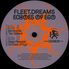 pi pi pi premiere: fleet.dreams - Echoes of Ego (Vinezza Records)