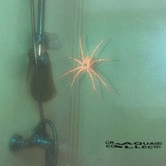 [Premiere] ergen101 - haunted self (out June 27 on Craquages Collectifs)