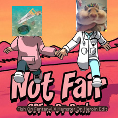 GPF & Dr Donk - Not Fair (Fish On Fentanyl x Hamster On Heroine Collab Edit)