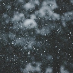 Winter (First snow)