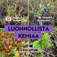 Luonnollista kemiaa: Suokasvien huumaavaa kemiaa